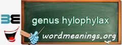 WordMeaning blackboard for genus hylophylax